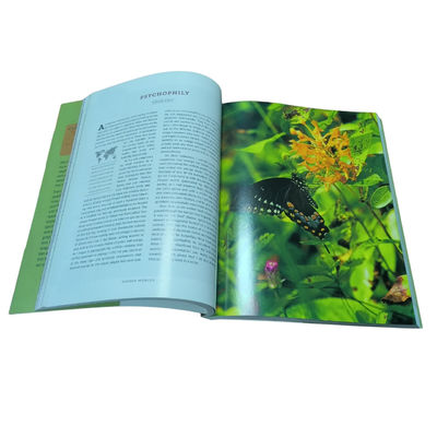 Full Color Textbook Printing Service Custom Softcover Binding Glossy Lamination