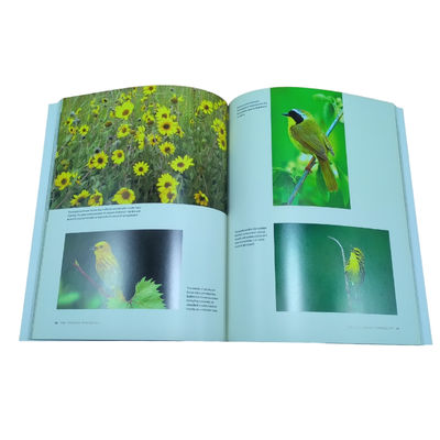 The Prairie Peninsula | Art Paper Textbook Printing Service Full Color Glossy Lamination Offset Print Hardcover 157gsm