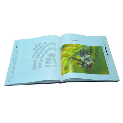 Full Color Hardcover Coffee Table Books Printing On Both Sides